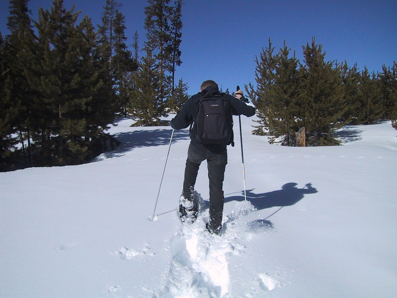 Snowshoeing, Sniego Batai, Sniegas, Žygiai, Sportas, Eiti, Lazdos, Atsekti, Gilus Sniegas, Nemokamos Nuotraukos