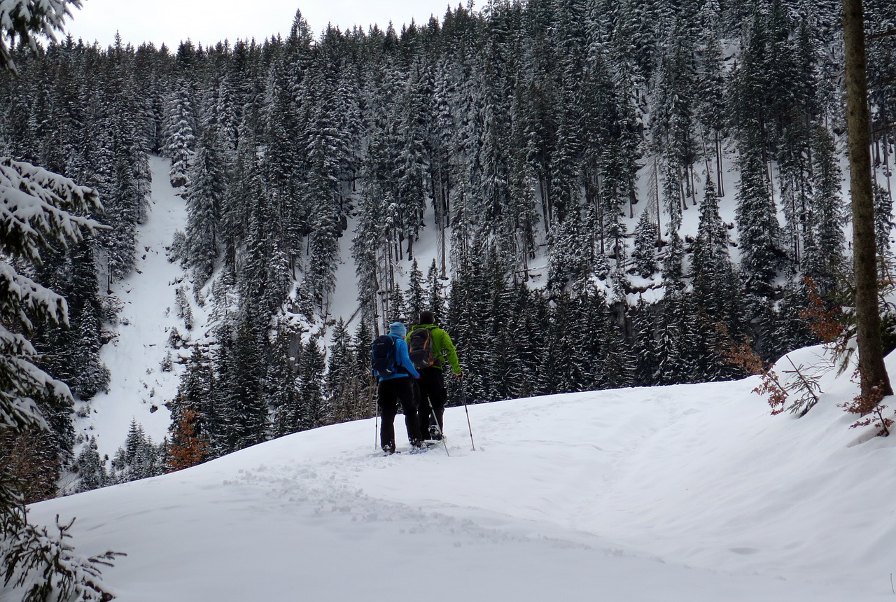 Snowshoeing, Sniego Batai, Sniegas, Alpinizmas, Bergsport, Kalnai, Žygiai, Alpių, Šaltas, Žiema