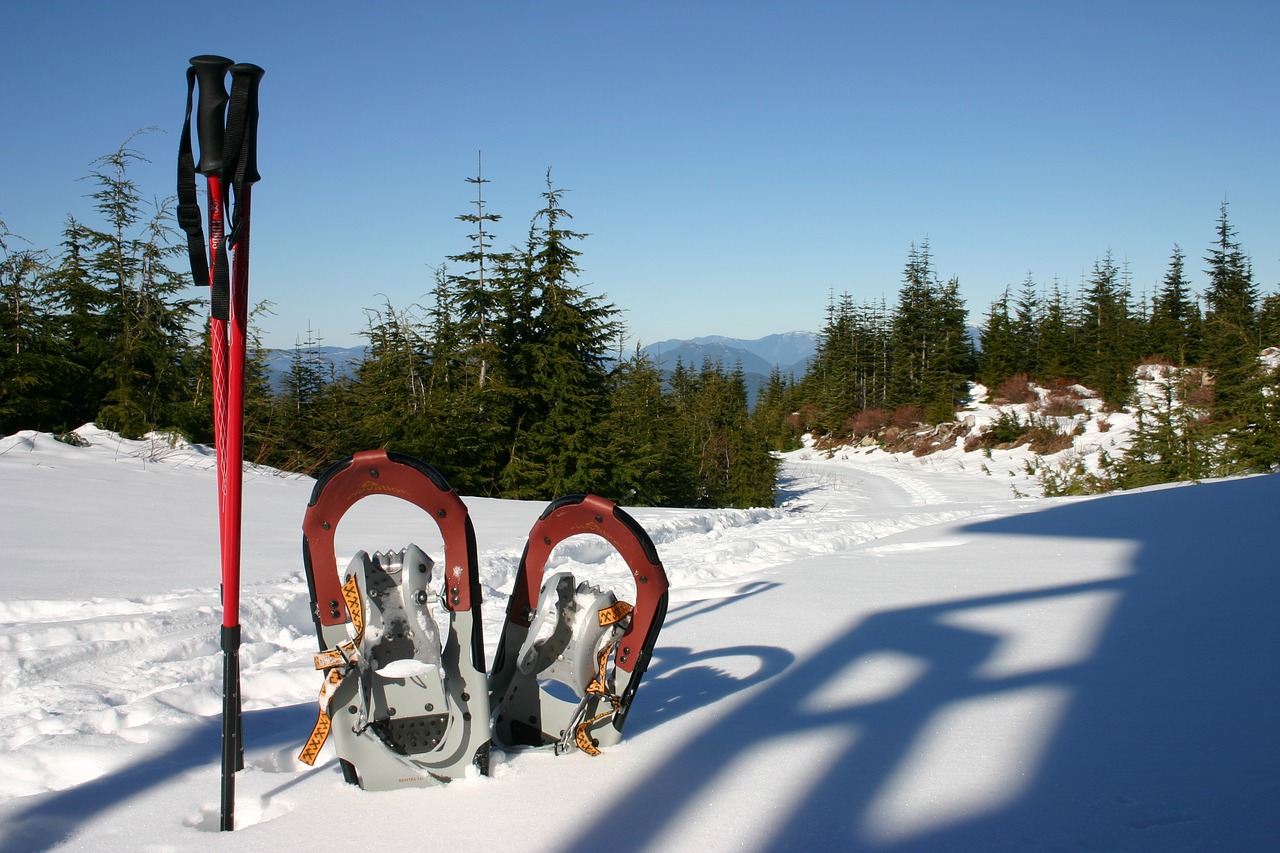 Snowshoes, Snowshoeing, Žiemos Sportas, Sniegas, Pasivaikščiojimas, Žiema, Šaltas, Nuotykis, Žygiai, Gyvenimo Būdas