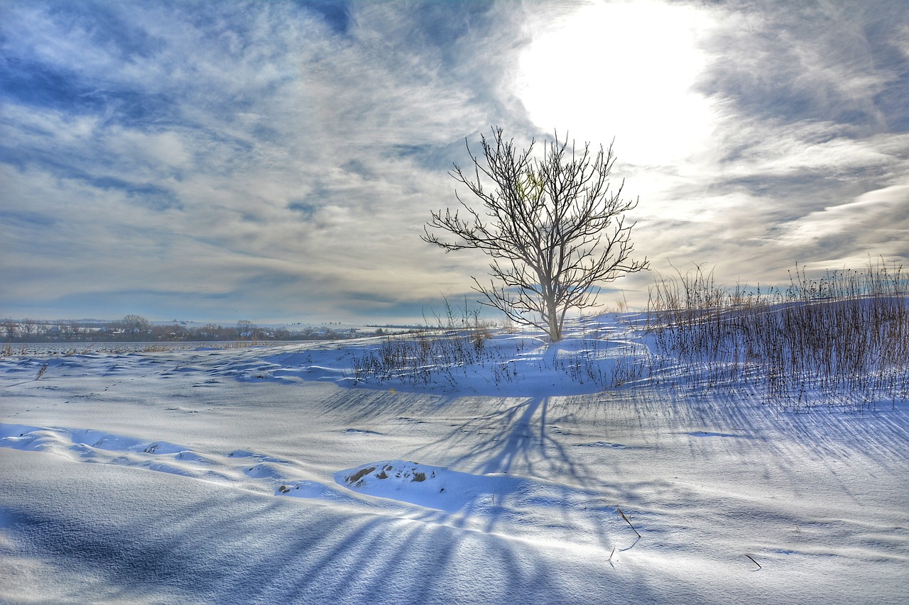 Snieguotas Kraštovaizdis, Vienišas Medis, Žiemos Saulė, Žiemos Gamta, Slovakija, Nemokamos Nuotraukos,  Nemokama Licenzija