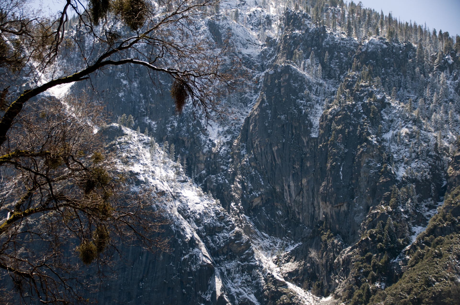 Sniegas,  Sniegas,  Žiema,  Miškas,  Kalnas,  Hillside,  Lauke,  Gamta,  Sezonas,  Sezoninis