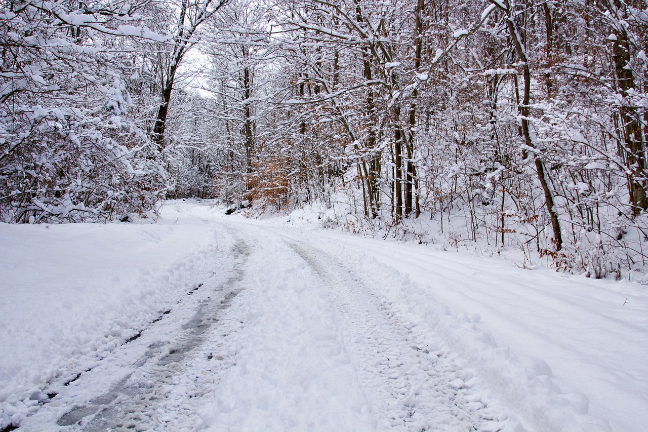 Snieguotas Kelias, Fonas, Sniegas, Snowscape, Nemokamos Nuotraukos,  Nemokama Licenzija