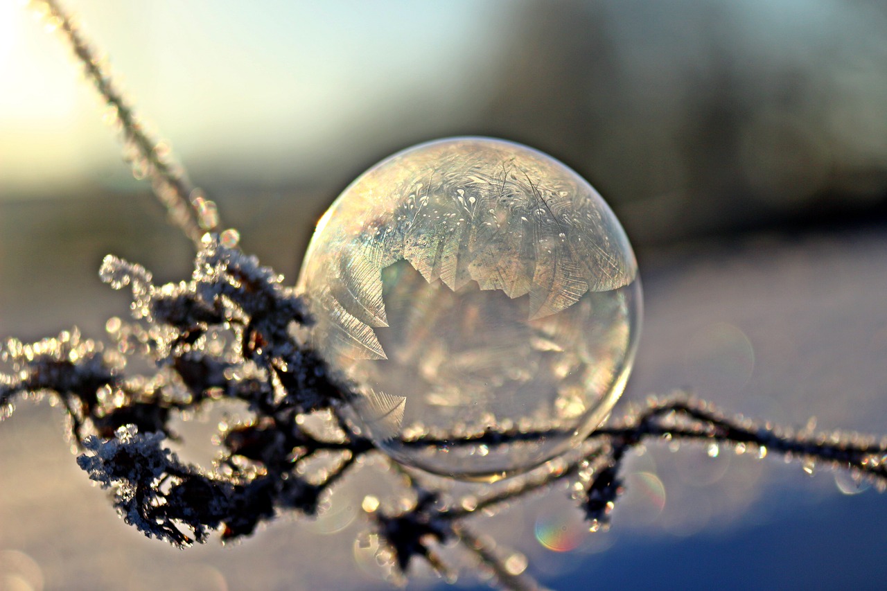 Muilo Burbulas, Frost Globe, Šalnos Lizdas, Žiema, Eiskristalio, Šaltas, Šaltis, Rutulys, Sušaldyta, Užšalęs Burbulas