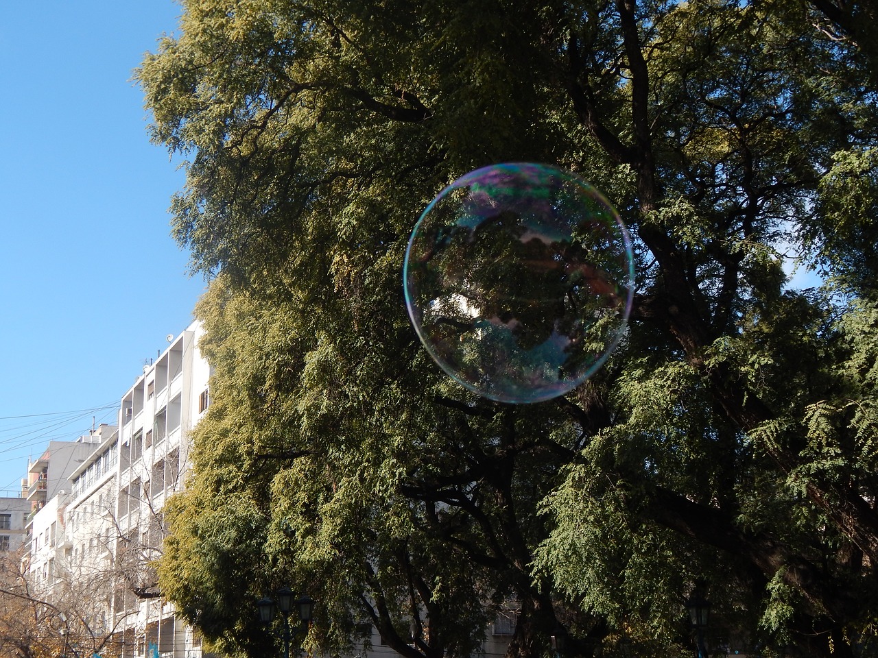 Muilo Burbulas, Burbulas, Spalvos, Nemokamos Nuotraukos,  Nemokama Licenzija