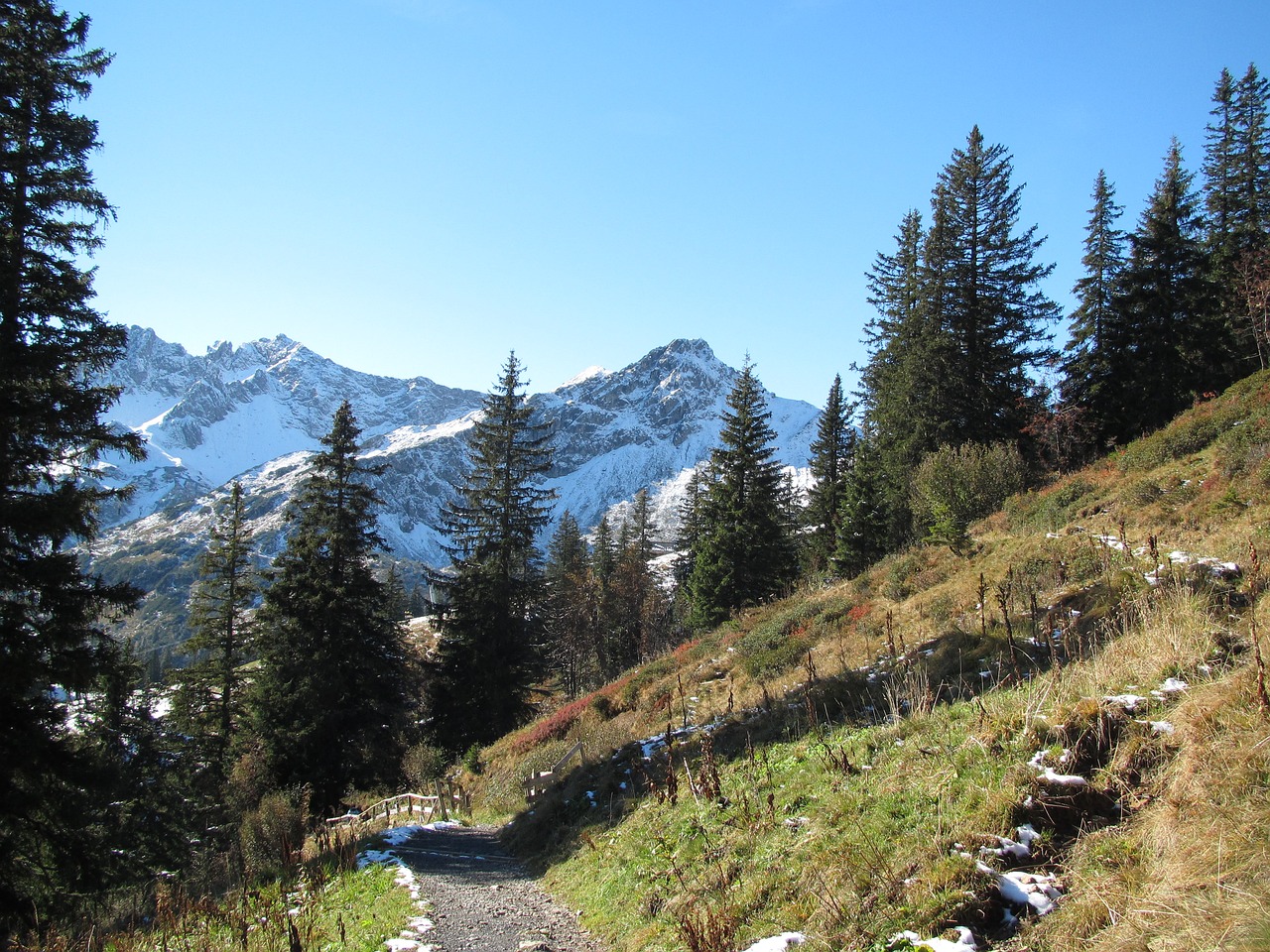 Krioklys, Sniegas, Eglės, Panorama, Gamta, Allgäu, Alpių, Nemokamos Nuotraukos,  Nemokama Licenzija