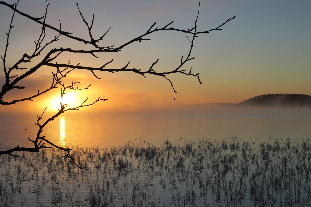 Solppgång, Lehminiemi, Soutujärvi, Saulėtekis, Žiema, Sniegas, Saulėlydis, Peizažai, Ežeras, Nemokamos Nuotraukos