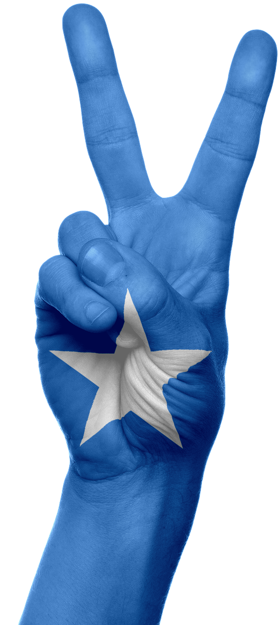 Somalia, Vėliava, Ranka, Nacionalinis, Pirštai, Patriotinis, Patriotizmas, Afrika, Somali, Gestas