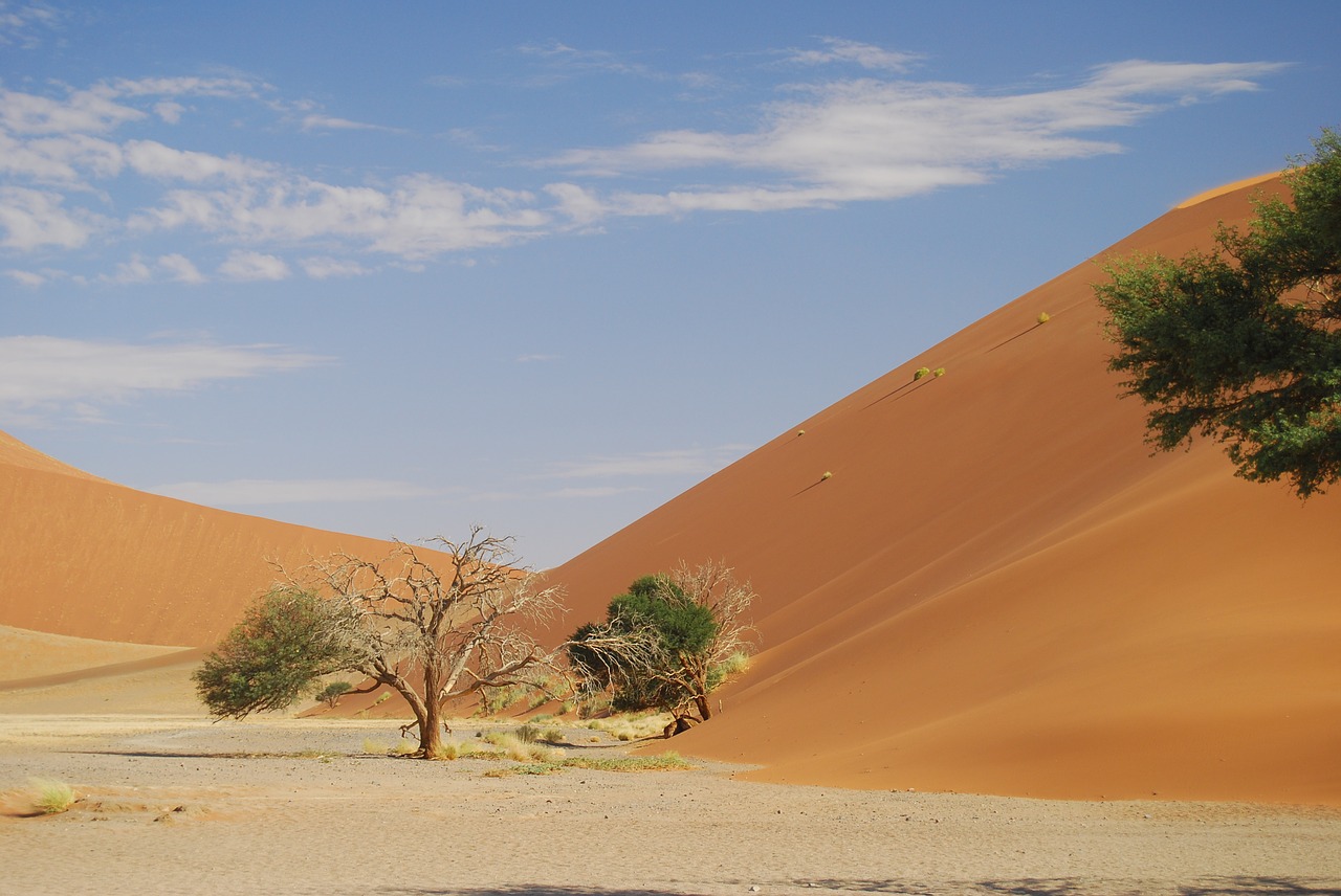 Sossusflei, Namibija, Dykuma, Smėlis, Afrika, Kopos, Sossusvlei, Gamta, Sausas, Rotorinis Smėlis