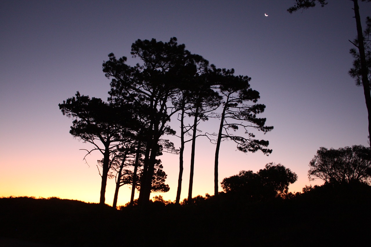 Pietų Afrika, Cape Town, Dangus, Kelionė, Panorama, Saulėlydis, Kraštovaizdis, Abendstimmung, Dusk, Nemokamos Nuotraukos