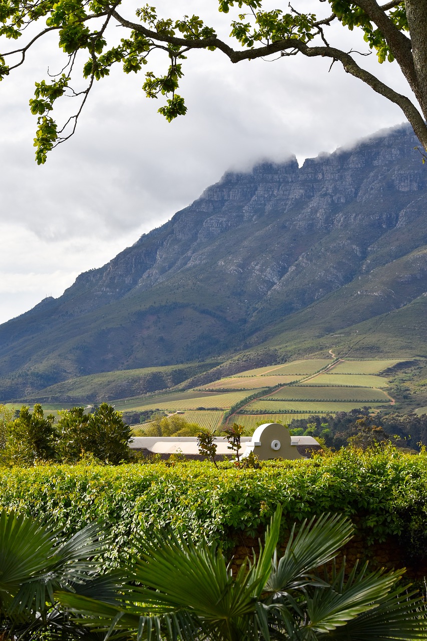 Pietų Afrika,  Franschhoek,  Pobūdį,  Medis,  Kelionė,  Vynuogynas,  Kalnas, Nemokamos Nuotraukos,  Nemokama Licenzija