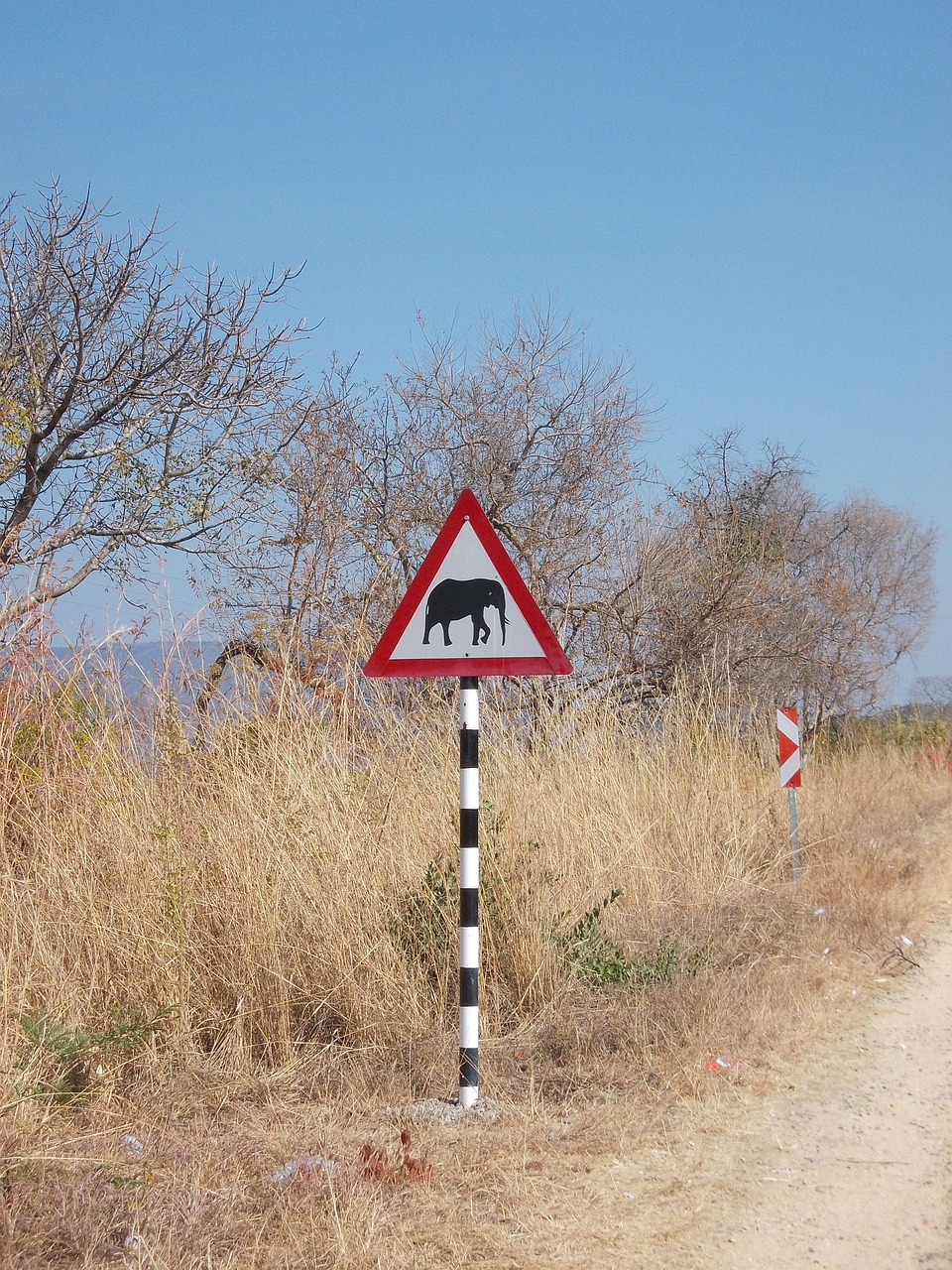 Pietų Afrika,  Dramblys,  Kelio Zenklas,  Dėmesio Dramblys, Nemokamos Nuotraukos,  Nemokama Licenzija