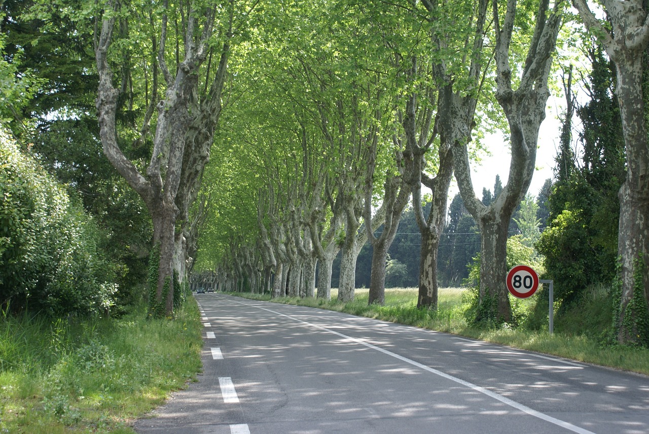 Į Pietus Nuo Prancūzijos, Kelias, Provence, Nemokamos Nuotraukos,  Nemokama Licenzija