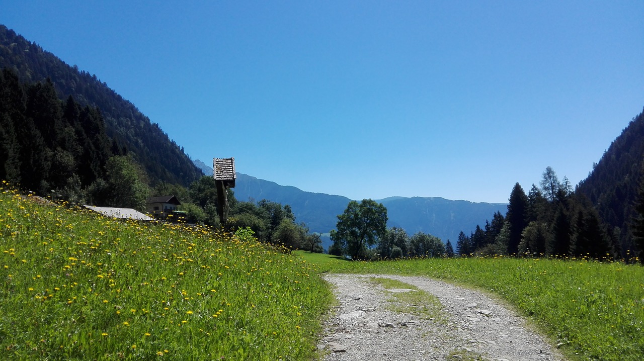 South Tyrol, Kalnai, Gamta, Italy, Alm, Alpių Panorama, Šventė, Nemokamos Nuotraukos,  Nemokama Licenzija