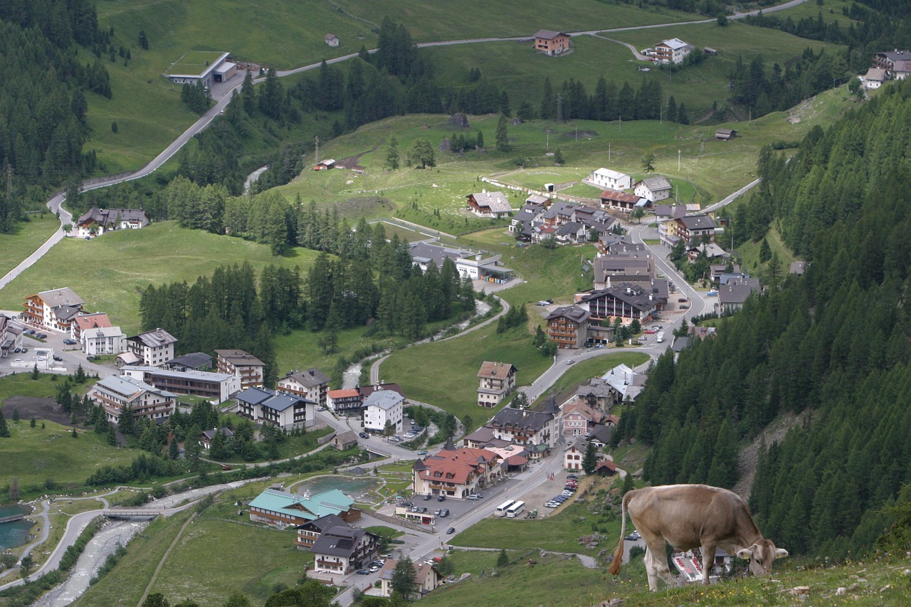 South Tyrol, Italy, Val Venosta, Karvė, Kalnai, Dolomitai, Kraštovaizdis, Kalnų Žygiai, Vaizdas, Nemokamos Nuotraukos