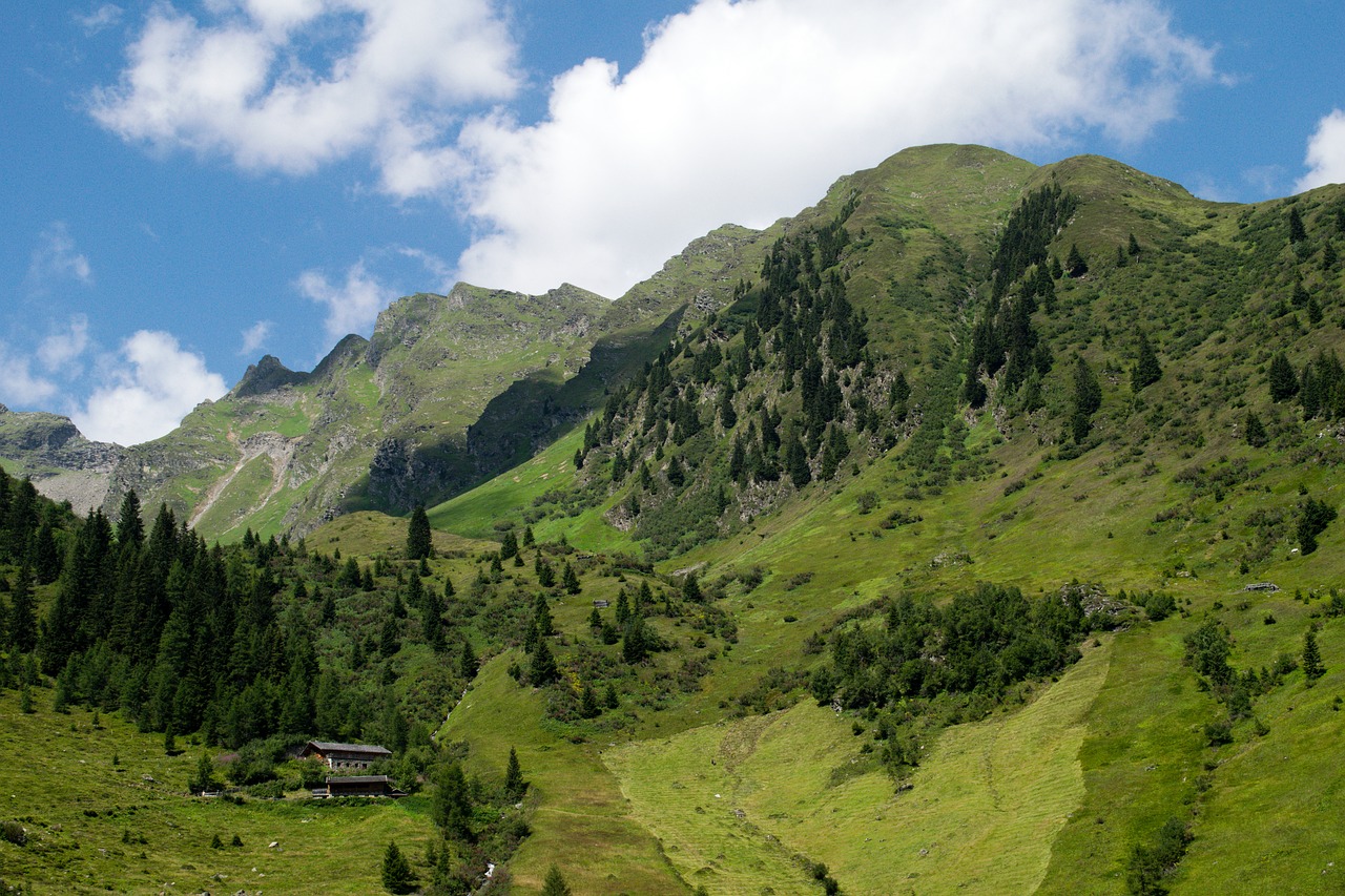 South Tyrol, Kalnas, Alpių, Rokas, Panorama, Žalias, Debesys, Pieva, Namai, Slėnis