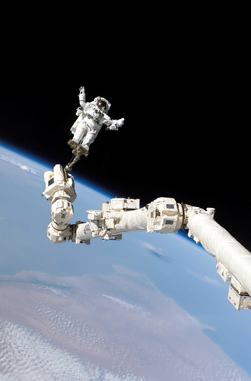 Kosmoso Eismas, Astronautas, Tarptautinė Kosminė Stotis, Steve Robinson, Canadarm2, Iss, Nemokamos Nuotraukos,  Nemokama Licenzija