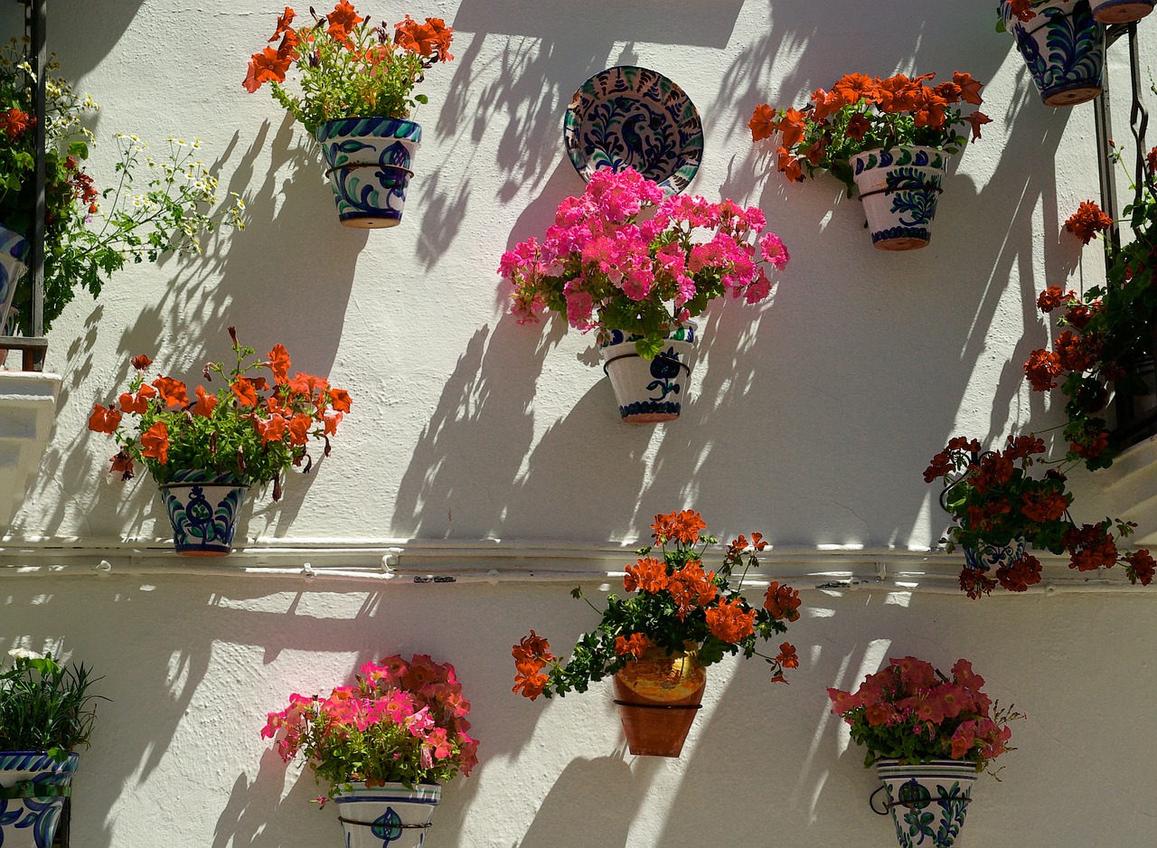 Ispanija, Andalūzija, Gėlių Sienos, Geraniums, Nemokamos Nuotraukos,  Nemokama Licenzija