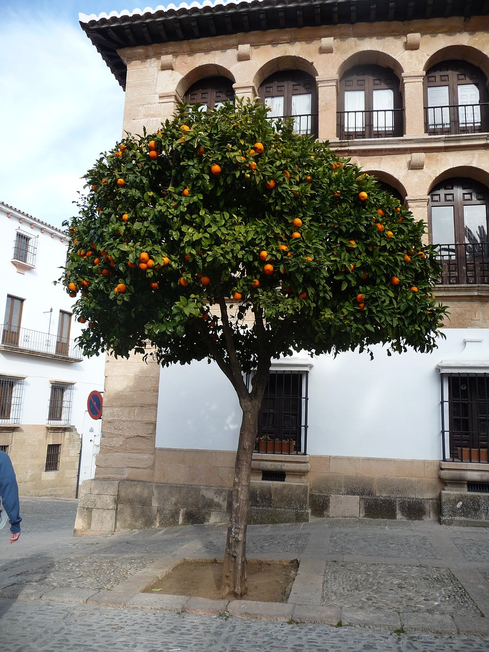 Ispanija, Kvadratas, Apelsinų Medžiai, Medis, Ispanų Kaimas, Nemokamos Nuotraukos,  Nemokama Licenzija
