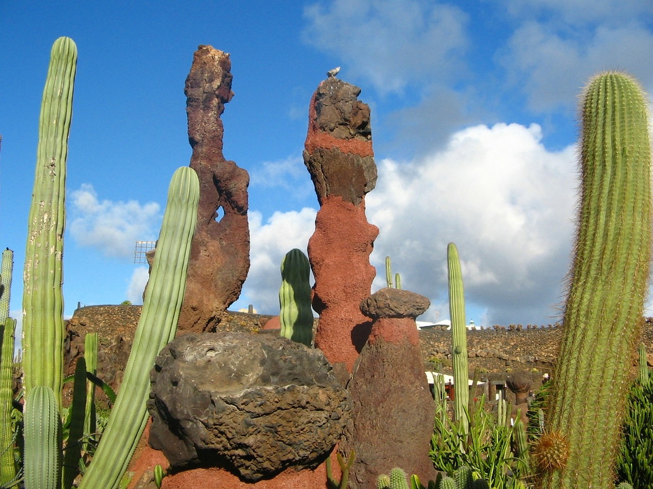 Ispanija, Lanzarote, Kaktusas Sodas, Lankytinos Vietos, Rokas, Nemokamos Nuotraukos,  Nemokama Licenzija