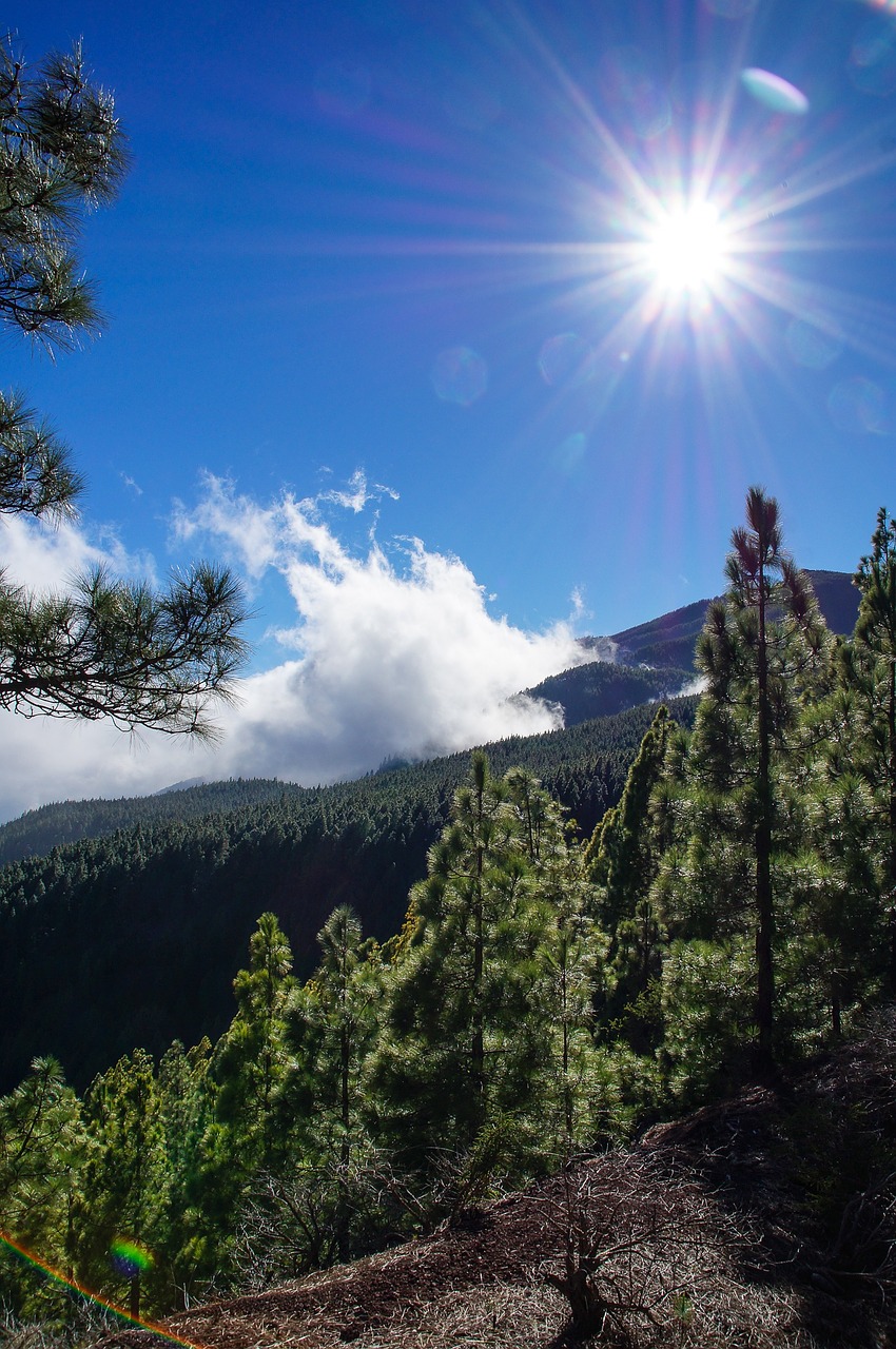 Ispanija,  Kanarų Salos,  Tenerifė,  Teide Nacionalinis Parkas,  Vaizdas, Nemokamos Nuotraukos,  Nemokama Licenzija