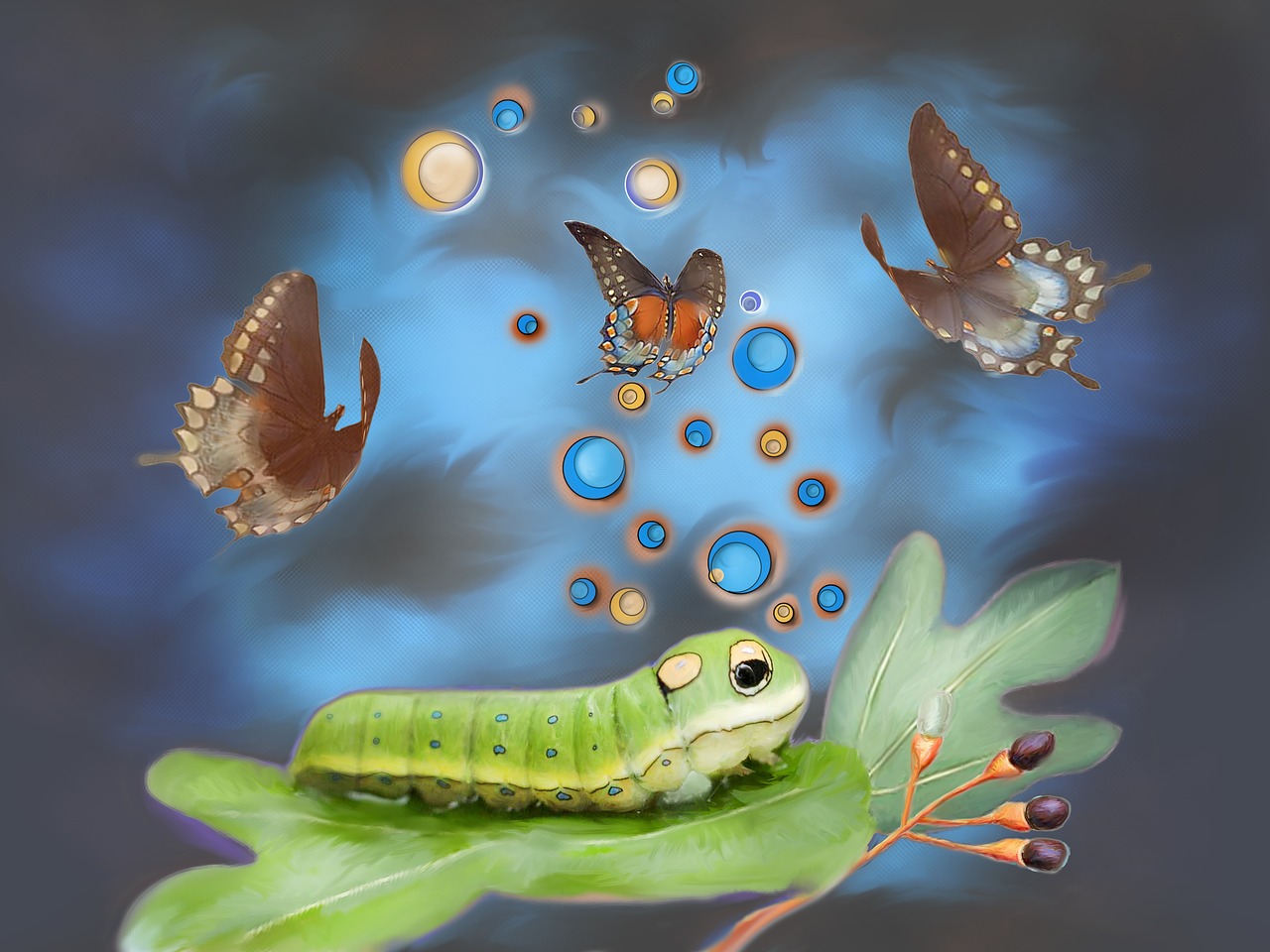 Spicebush Swallowtail, Vikšras, Fantazija, Fotografijos Menas, Pikselių Dažymas, Gyvūnas, Drugelis, Drugeliai, Vaikų Menas, Fotografavimas