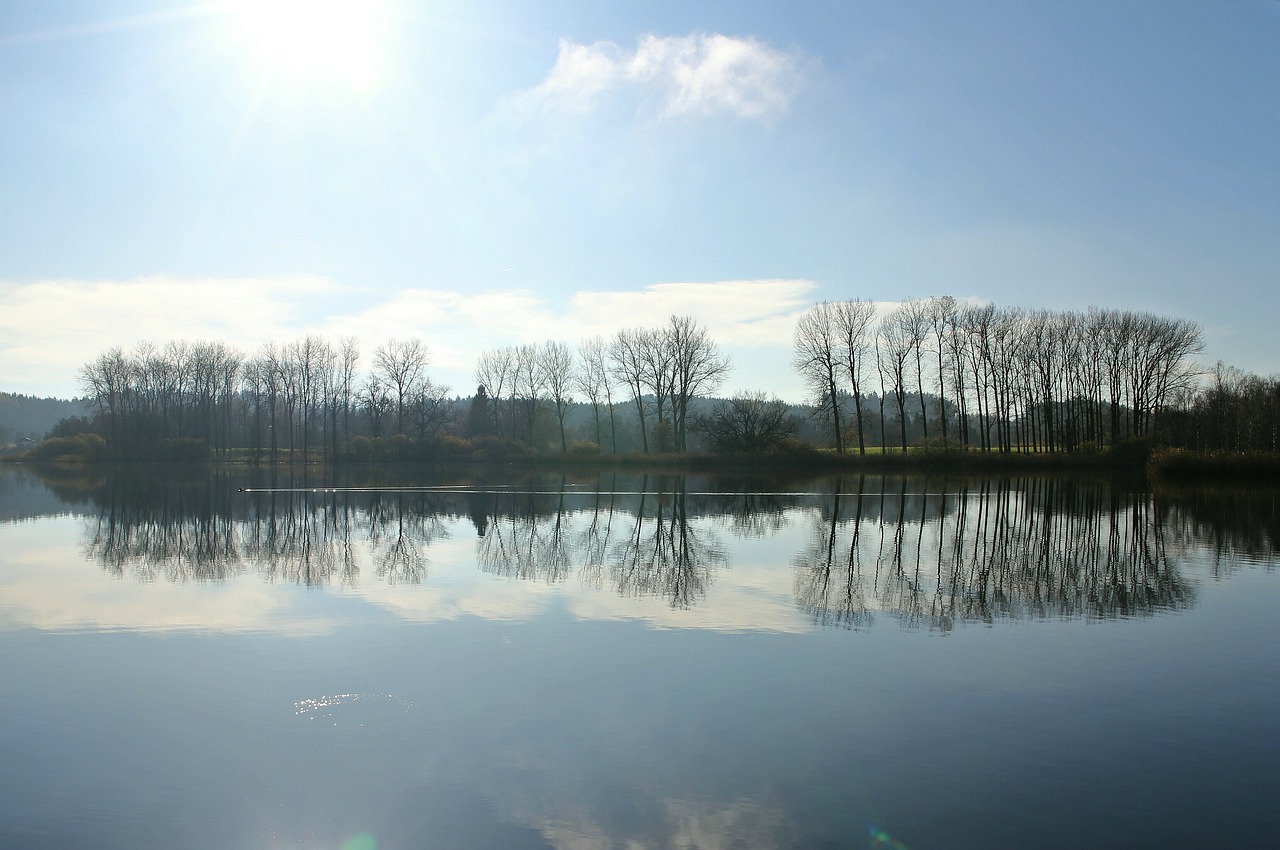 Spiegelung, Apšvietimas, Vanduo, Medis, Medžiai, Siluetas, Atmosfera, Debesys, Saulė, Nuotaika