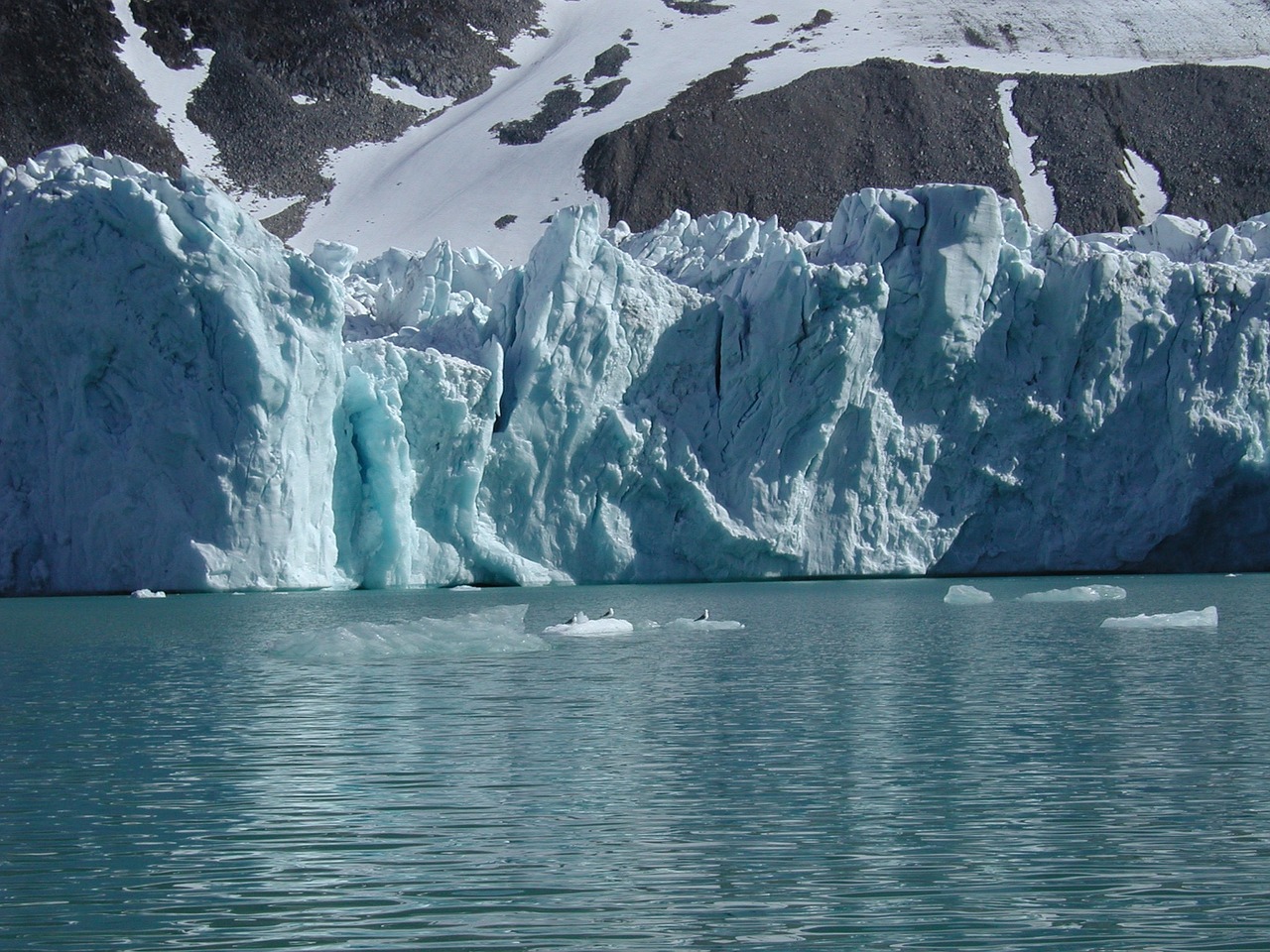 Spitsbergenas,  Ledynas,  Ledas, Nemokamos Nuotraukos,  Nemokama Licenzija