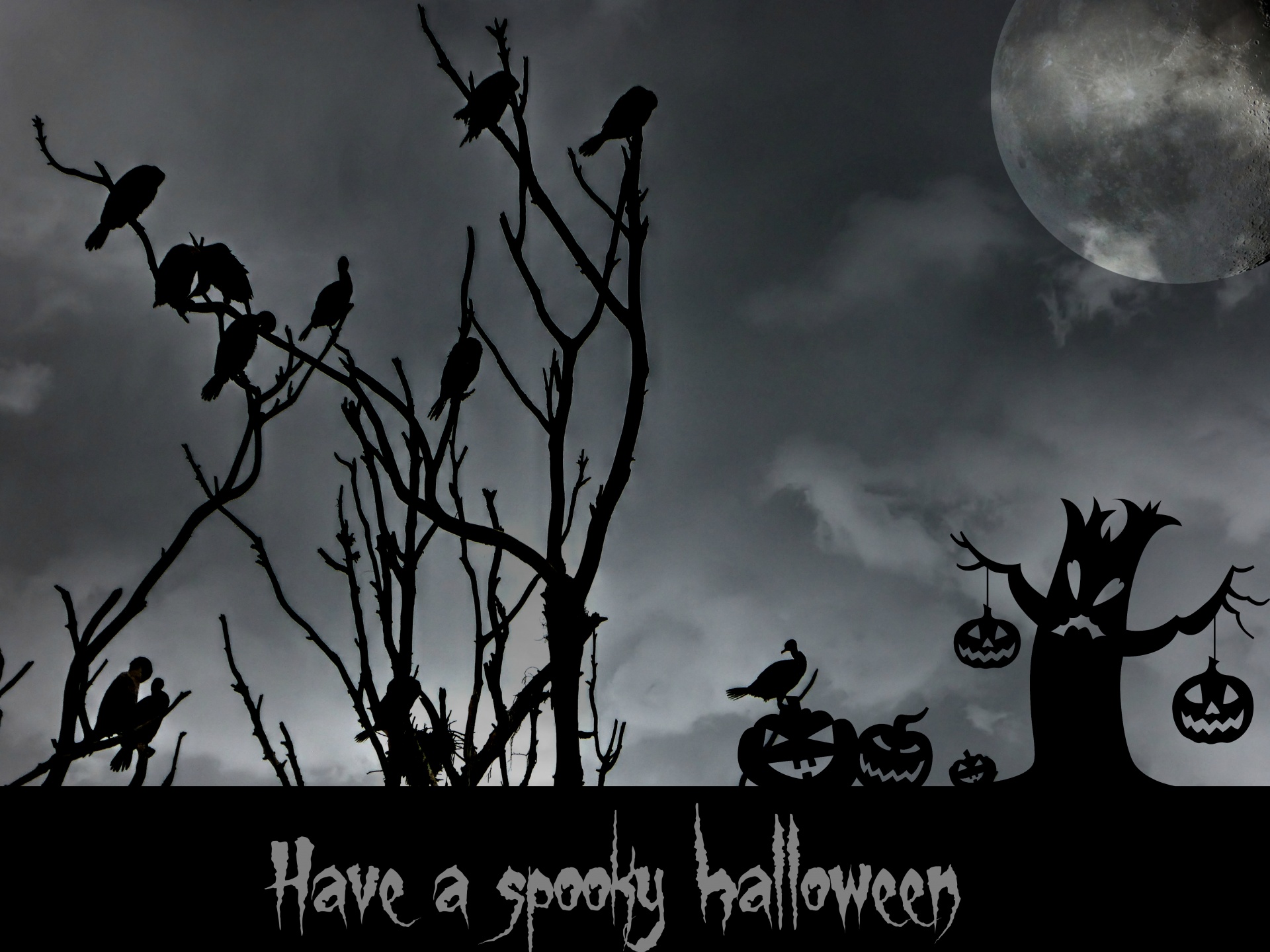 Halloween,  Paukštis,  Paukščiai,  Juodieji Paukščiai,  Apsėstas,  Jack-O-Žibintai,  Pilnas & Nbsp,  Mėnulis,  Halloween & Nbsp,  Naktį
