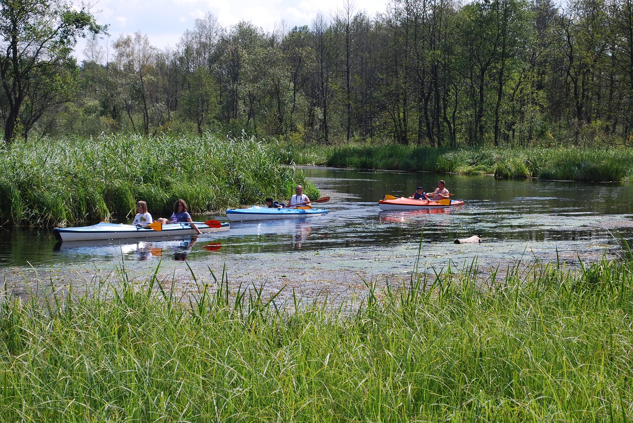 Sportas, Šventė, Masurija, Baidarių, Kelionė, Vasara, Nemokamos Nuotraukos,  Nemokama Licenzija