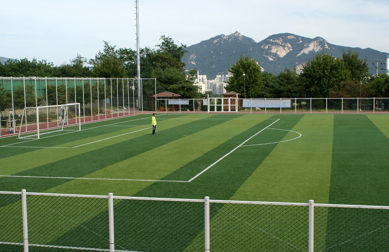 Sportas, Futbolas, Pratimas, Ankstyvas Futbolas, Dirbtinė Velėna, Rutulys, Žaidimų Aikštelė, Hobis, Nemokamos Nuotraukos,  Nemokama Licenzija