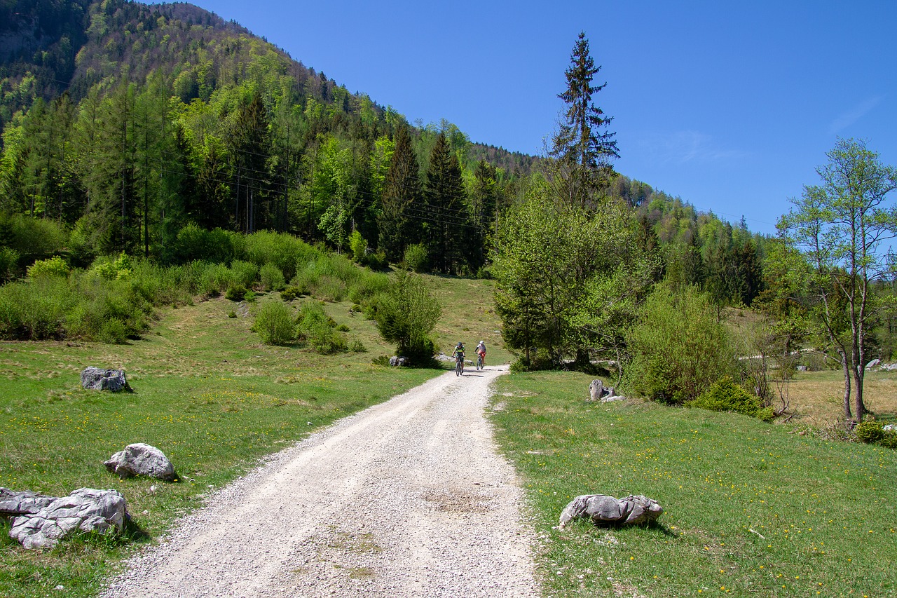 Sportas,  Kalnų Dviratis,  Pobūdį,  Kraštovaizdis,  Žolė,  Kalnų,  Dviračių Turas,  Sporto Pramogos,  Žvyro Kelių,  Sportiškas