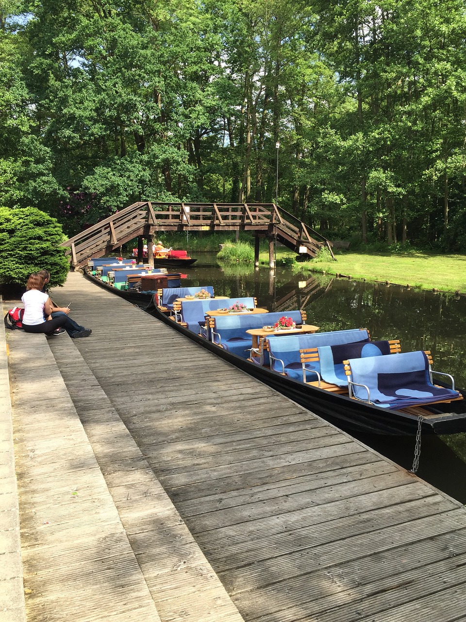 Spreewald Germany, Šventė, Vasara, Nemokamos Nuotraukos,  Nemokama Licenzija