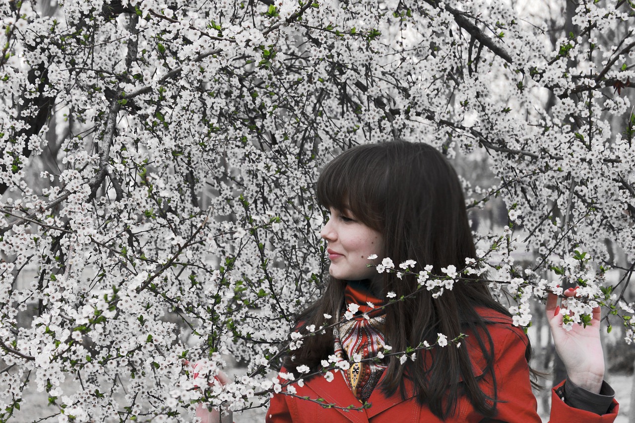 Pavasaris, Gėlės, Vyšnia, Vyšnių Žiedas, Gamta, Filialas, Gražiai, Sakura, Medis, Japonija