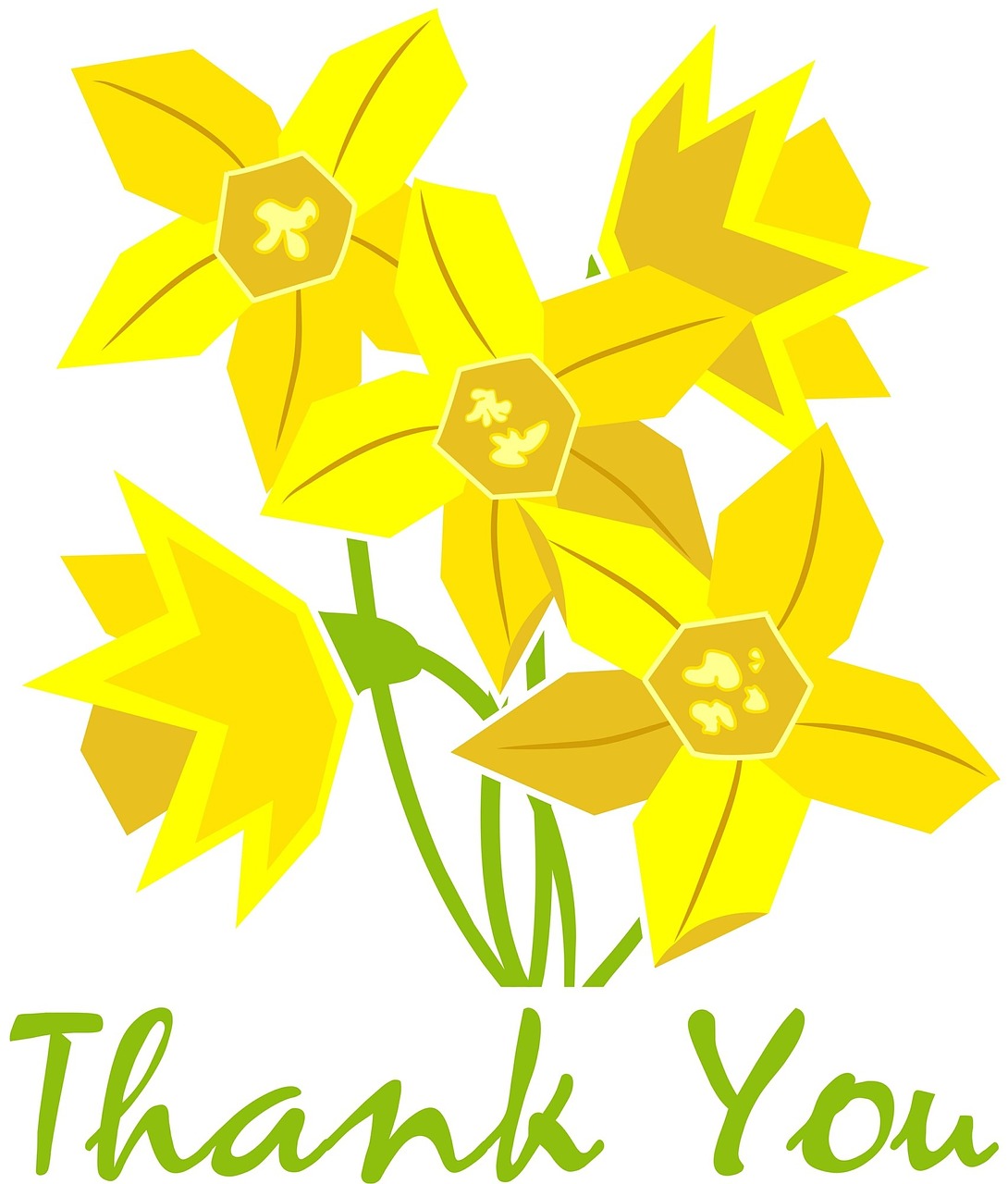 Pavasaris, Narcizai, Geltona, Dėkoju, Ačiū, Augalas, Gamta, Augimas, Botanika, Sezonas