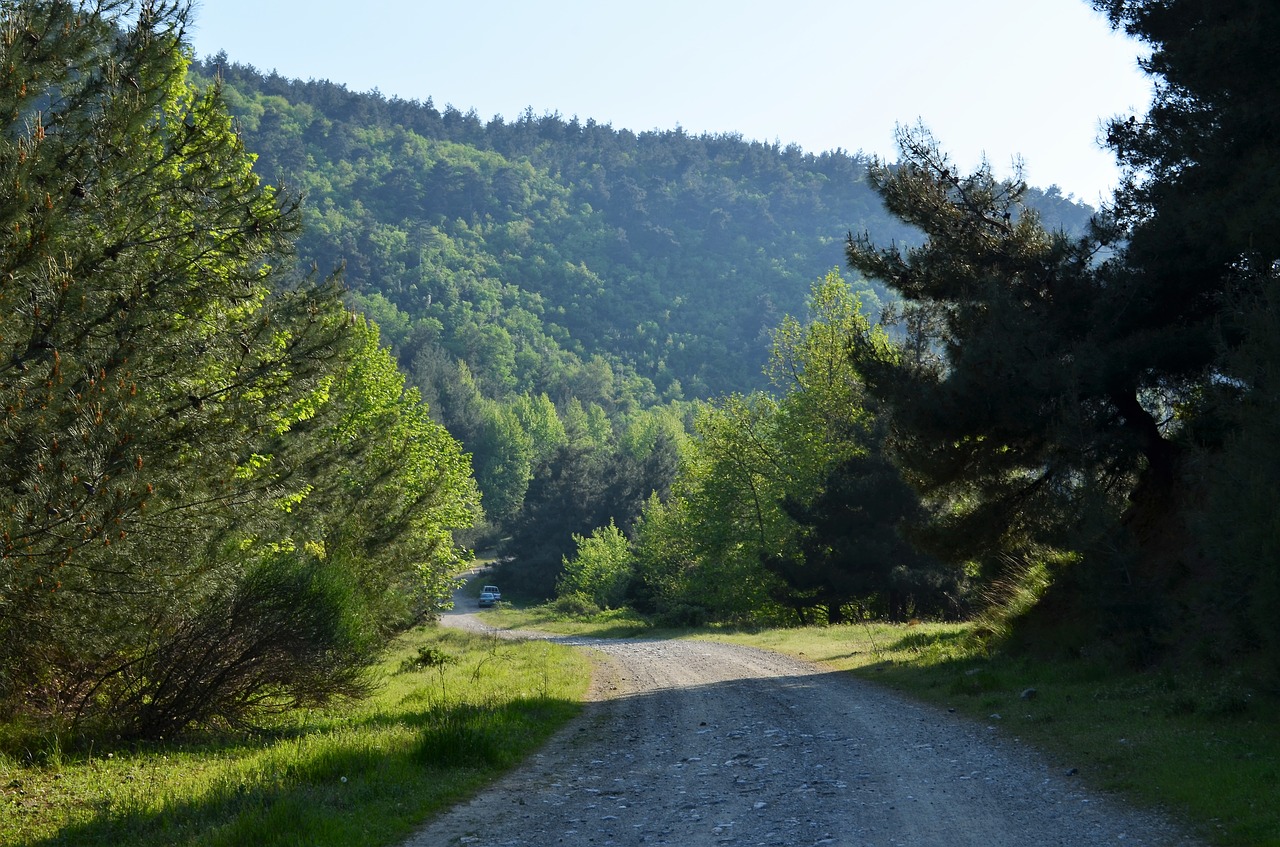 Pavasaris, Turkija, Stipendija, Doburca, Kaimo Kraštovaizdis, Gamta, Medis, Taika, Miškas, Gražus