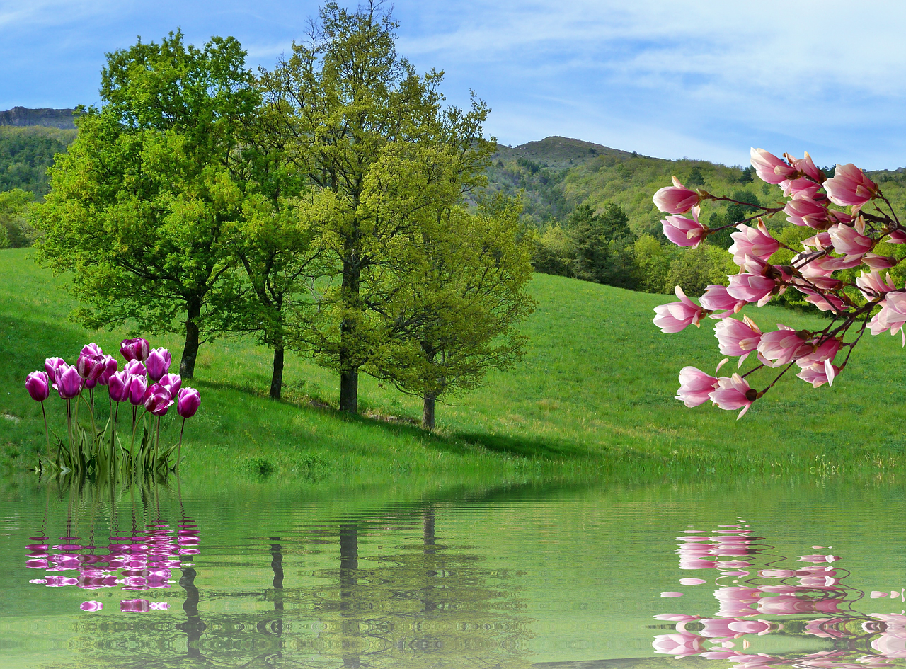 Pavasaris, Tulpės, Gamta, Kraštovaizdis, Filialai, Augalas, Flora, Pavasario Gėlės, Nemokamos Nuotraukos,  Nemokama Licenzija