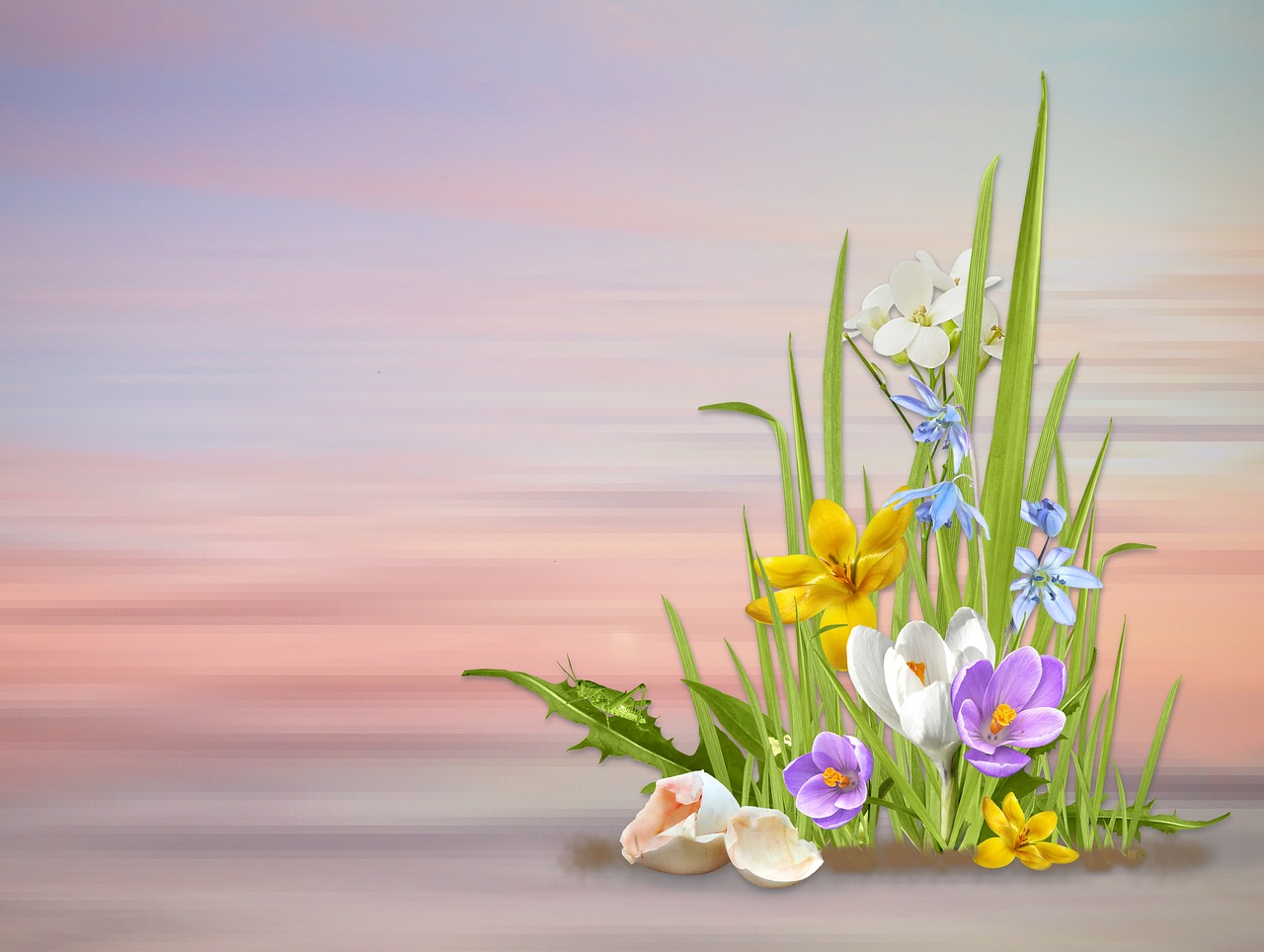 Pavasaris,  Pavasario Gėlės,  Gamta,  Gėlė,  Augalas,  Sezonas,  Lapai,  Stiebas,  Gėlių,  Velykos