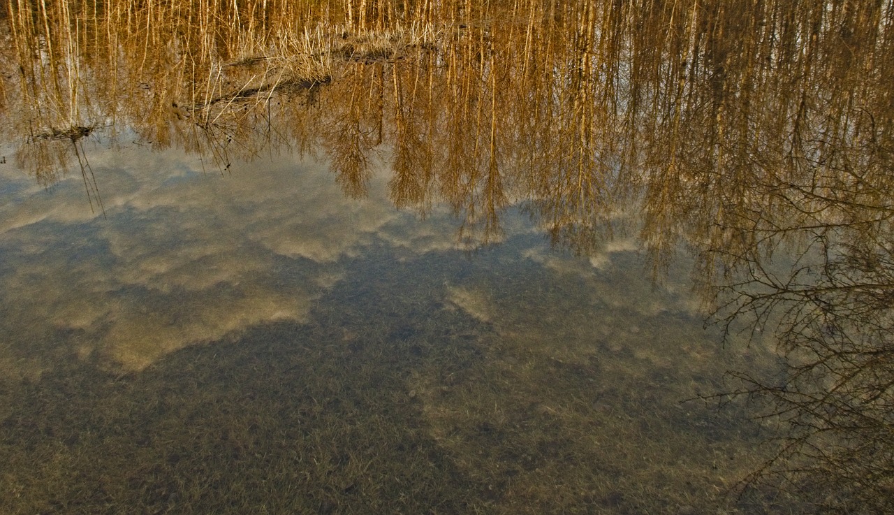 Pavasaris,  Sniegas Ištirptų,  Dangus,  Miškai,  Šieno Srityje,  Atspindys, Nemokamos Nuotraukos,  Nemokama Licenzija