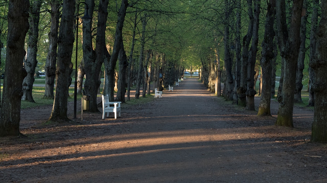 Pavasaris,  Saulėlydžio,  Parkas, Nemokamos Nuotraukos,  Nemokama Licenzija