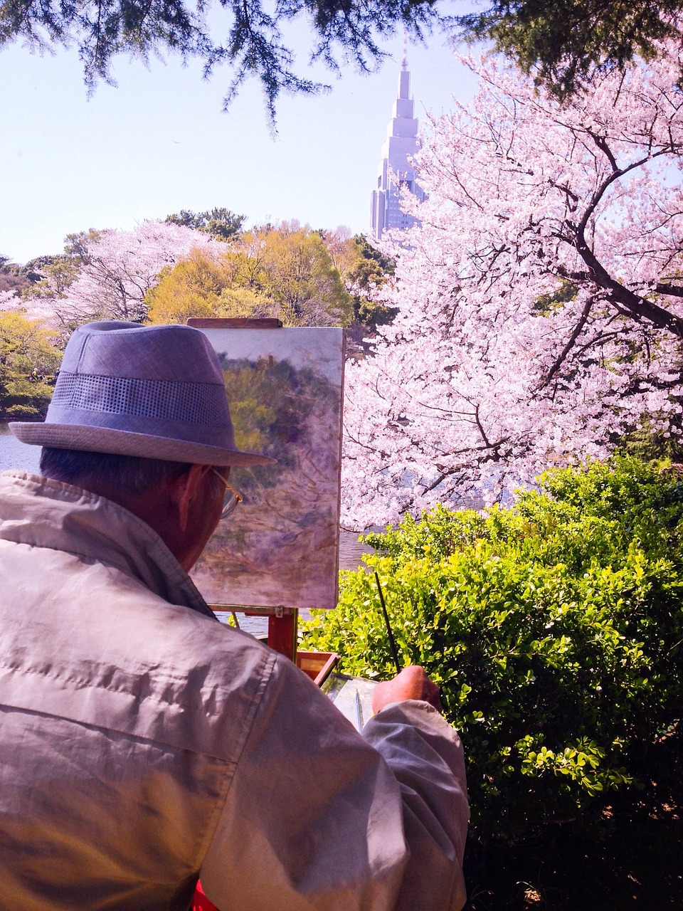 Pavasaris, Sakura, Japonija, Žiedas, Medis, Žydi, Japanese, Gamta, Rožinis, Vyšnia