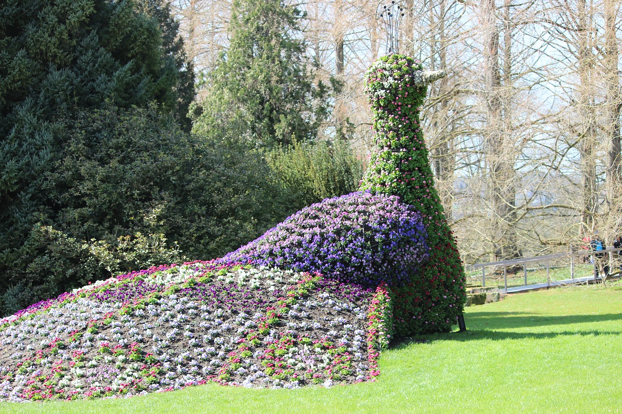 Pavasaris, Mainau, Povas Mėlynas, Mainau Sala, Violetinė, Forma, Ežero Konstanta, Gėlė, Medžiai, Nemokamos Nuotraukos