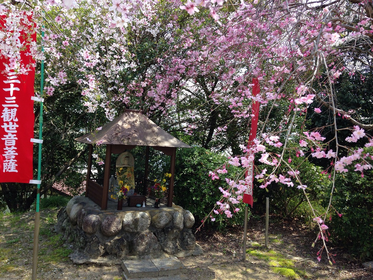 Pavasaris, Vyšnia, Gėlės, Japonija, Vaikų Sergėtoji Dievybė, Nemokamos Nuotraukos,  Nemokama Licenzija