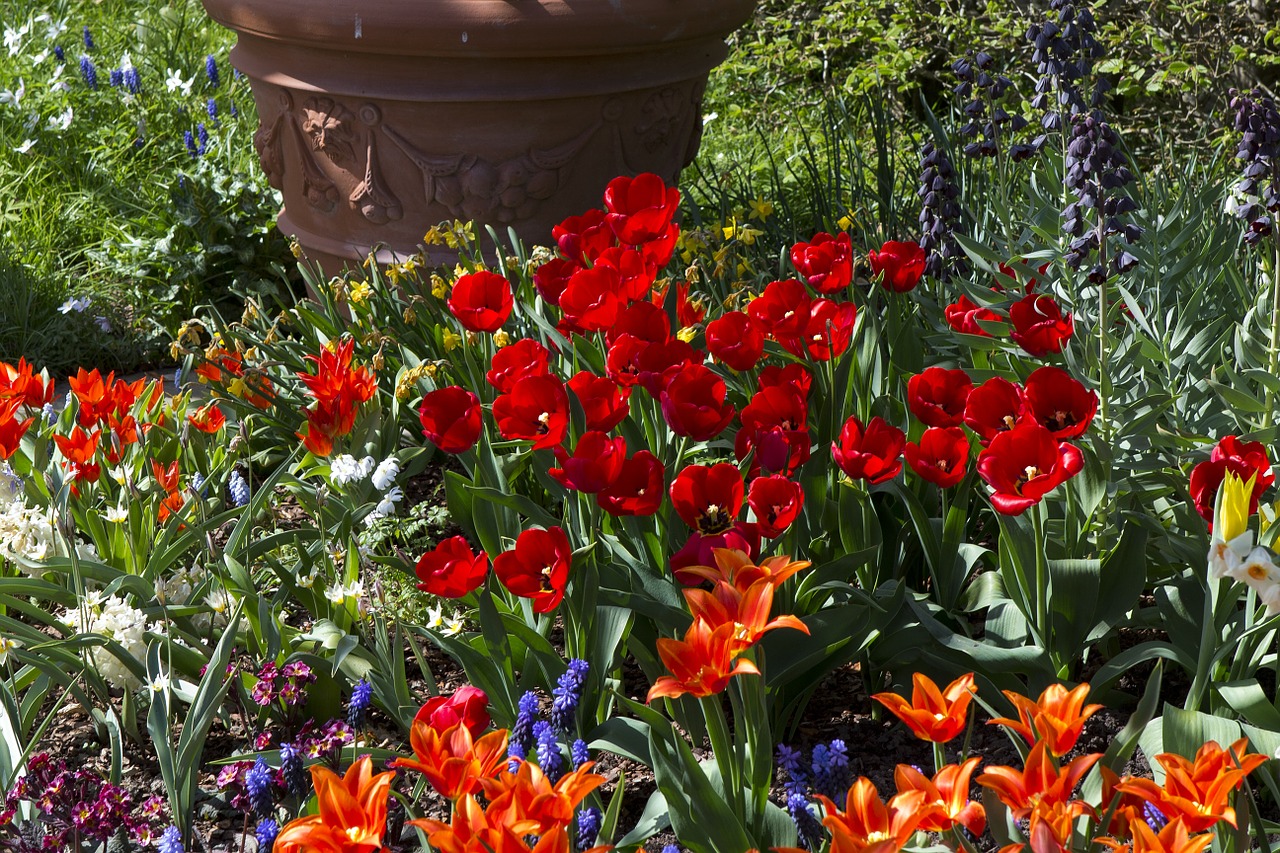 Pavasario Gėlės,  Tulpės,  Raudona,  Oranžinė Energinga,  Hiacintas,  Daffodil,  Terakotinis Puodas,  Sodas,  Žydėti,  Spalvinga