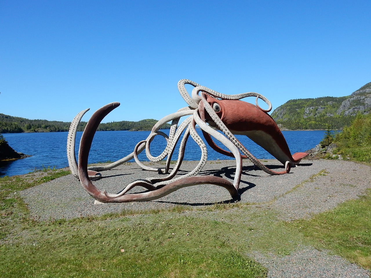 Kalmarų Skulptūra, Statula, Milžiniškas Kalmaras, Kelio Danga, Newfoundland, Nemokamos Nuotraukos,  Nemokama Licenzija