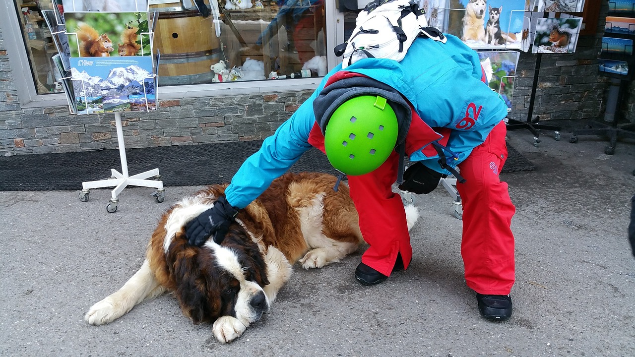 St Bernard, Chatel, Portes Du Soleil, Alpės, Slidinėjimas, Alpių, France, Prancūzų Kalba, Šventė, Atsipalaidavimas