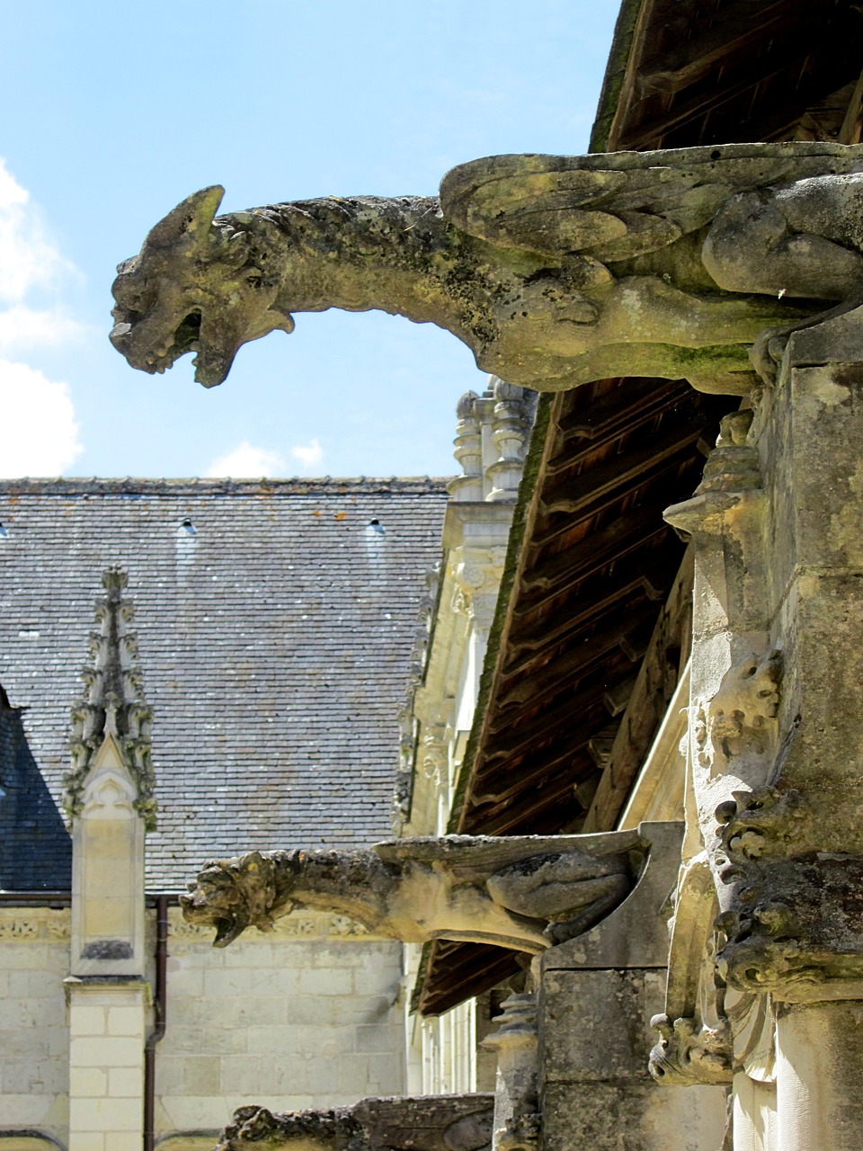 Šv. Gatieno Katedra, Gargoyle, Vienuolynas, Renesansas, Gotika, Turai, Indre-Et-Loire, France, Prancūzų Kalba, Viduramžių