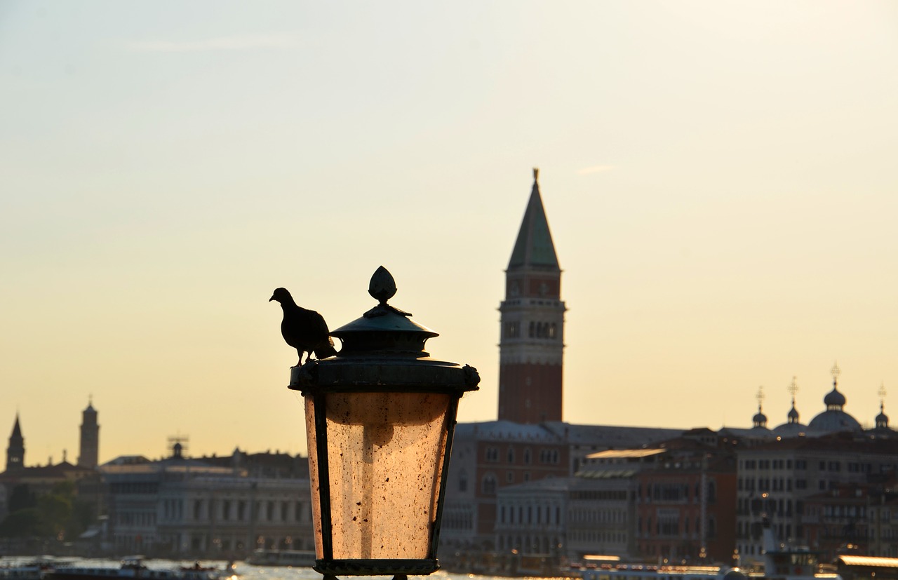 St Ženklo Bazilika, Venecija, Balandis, Gatvės Šviesos, St Ženklo Aikštė, Abendstimmung, Paukštis, Tarša, Purvas, Nemokamos Nuotraukos