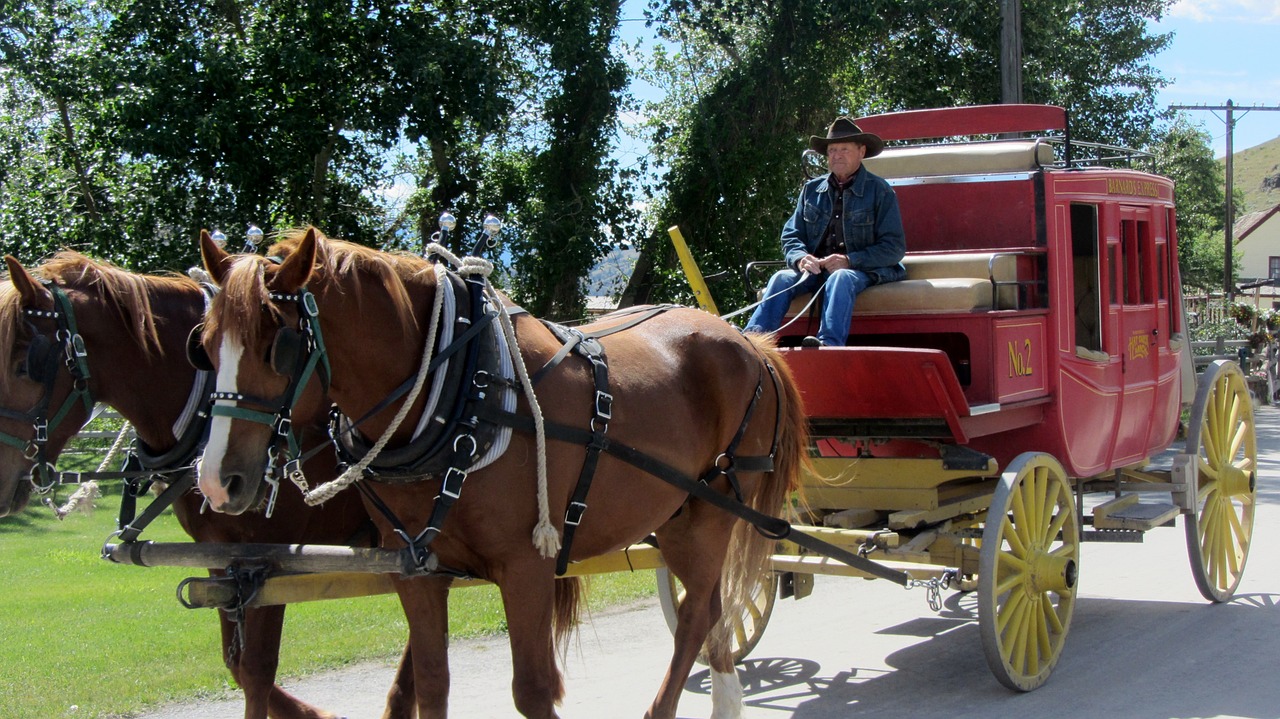 Stagecoach, Laukiniai Vakarai, Arkliai, Ranča, Ūkis, Treneris, Senas Treneris, Nemokamos Nuotraukos,  Nemokama Licenzija