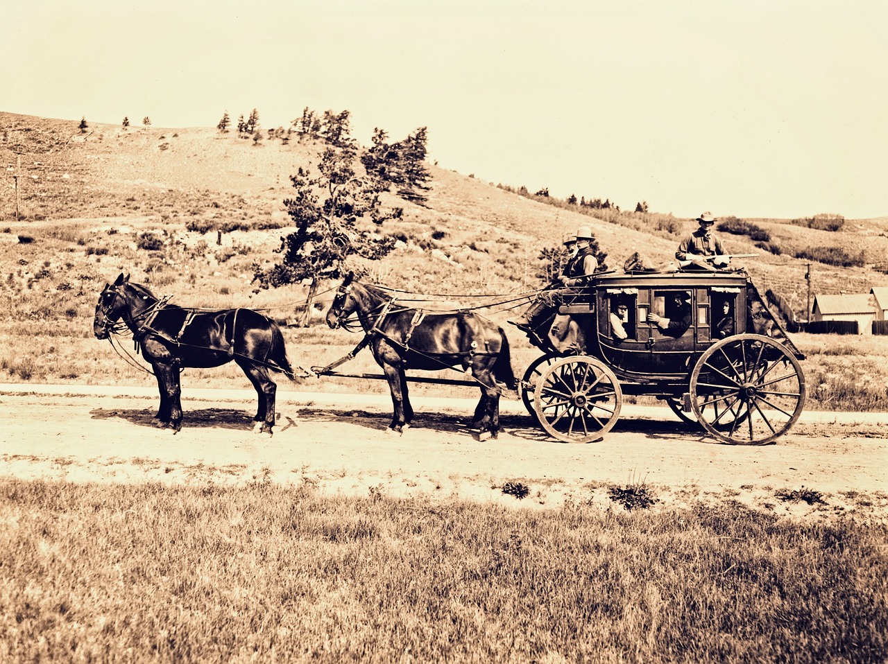 Stagecoach, Arklio Vežimėlis, Vakarų, Vintage, Gabenimas, Istorinis, Treneris, Arkliai, Senovinis, Nemokamos Nuotraukos