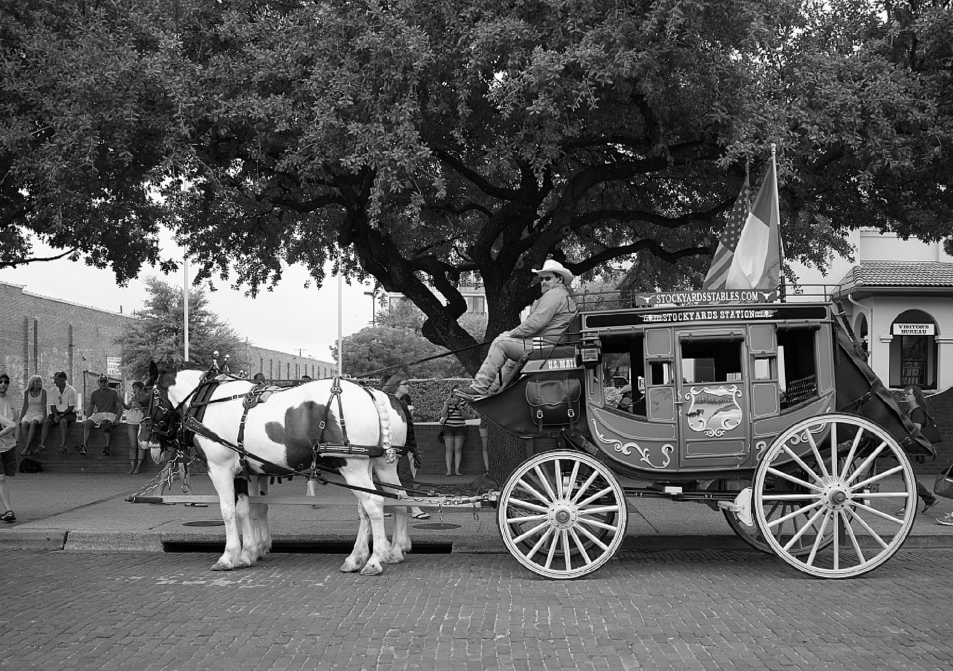 Stagecoach,  Juoda & Nbsp,  Balta,  Kaubojus,  Arkliai,  Komanda,  Istorinis,  Turistai,  Ft & Nbsp,  Verta